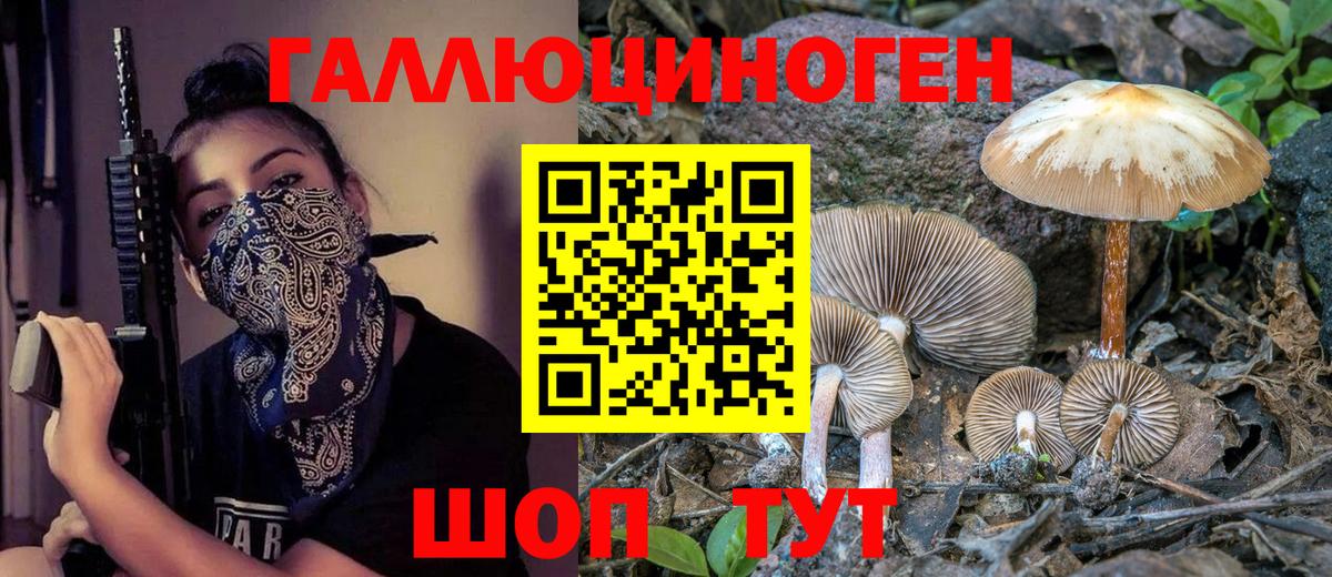 Псилоцибиновые грибы Psilocybe  Галлюциногенные грибы MAGIC MUSHROOMS  где найти   Йошкар-Ола  Вход с VPN 